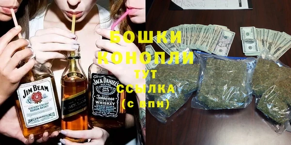 mdpv Вяземский
