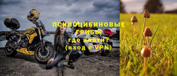 mdpv Вяземский