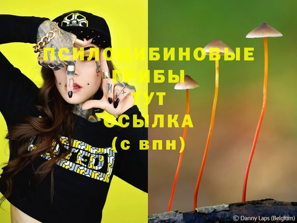 mdma Вязьма