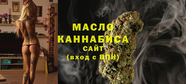 mdpv Вяземский