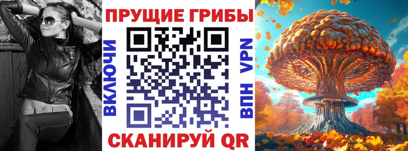 Псилоцибиновые грибы Cubensis  OMG маркетплейс  Далматово 